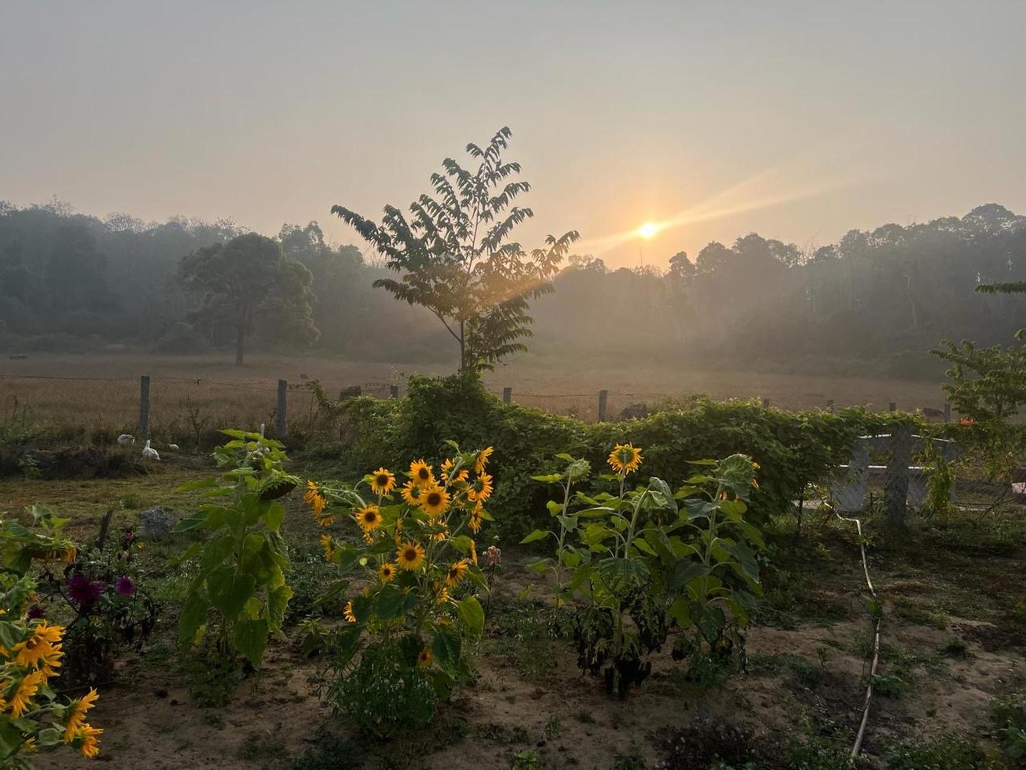 Villa The Deer Meadows Mudumalai Exterior foto